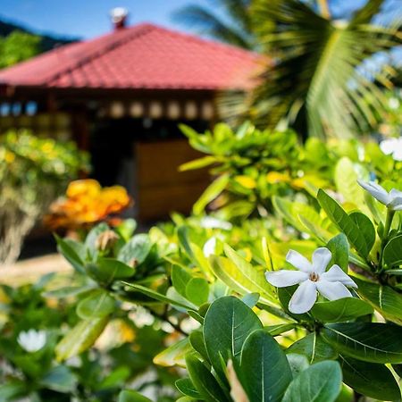 Raiatea sur Mer Opoa Extérieur photo