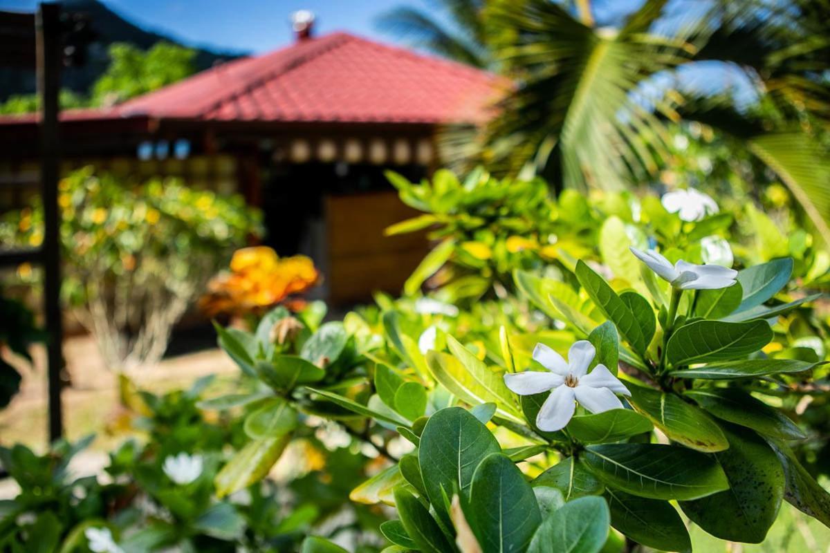Raiatea sur Mer Opoa Extérieur photo