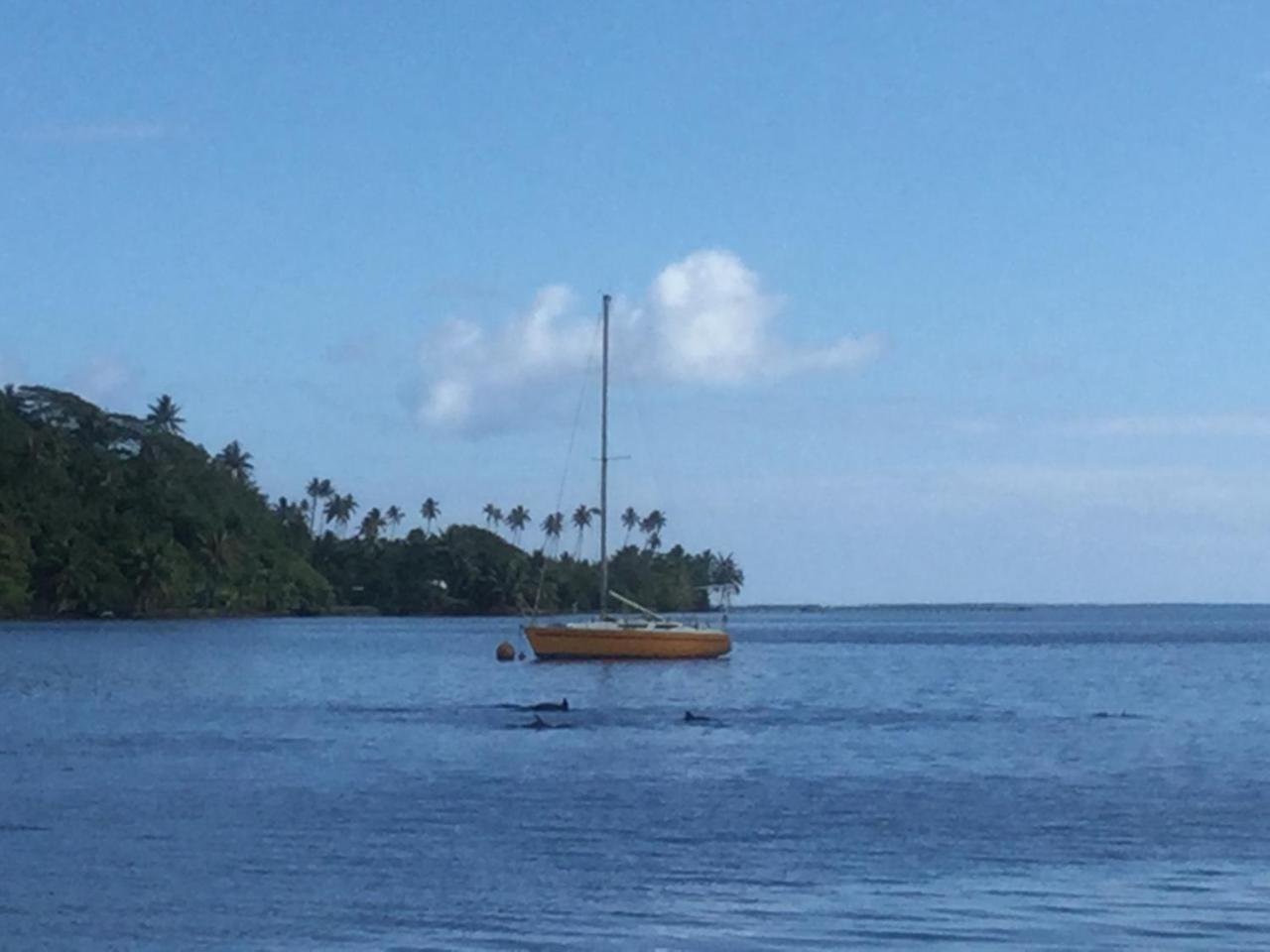 Raiatea sur Mer Opoa Extérieur photo